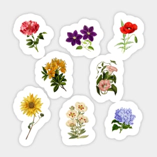 Vintage Flowers pack 1 Sticker
